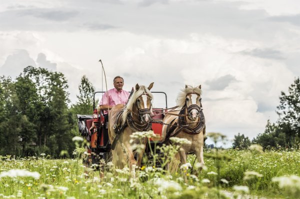 Mit der Kutsche zu den Drehorten